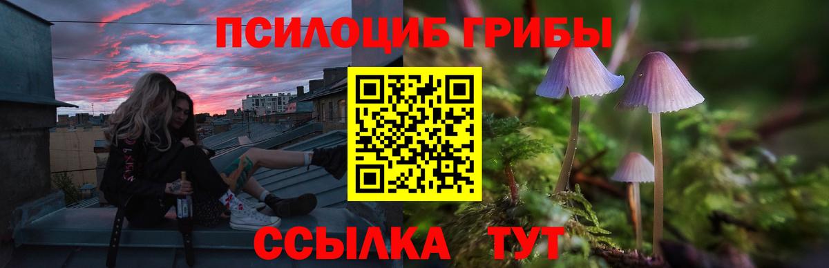 Усть-Джегута  Псилоцибиновые грибы MAGIC MUSHROOMS  Псилоцибиновые грибы мухоморы  Вход с VPN 